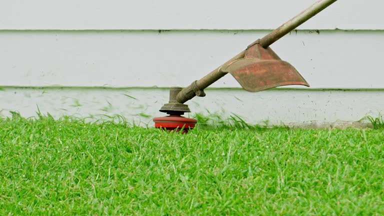 Best Lawn Drainage Solutions  in Corte Madera, CA